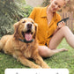 Electric Dog Training Collar