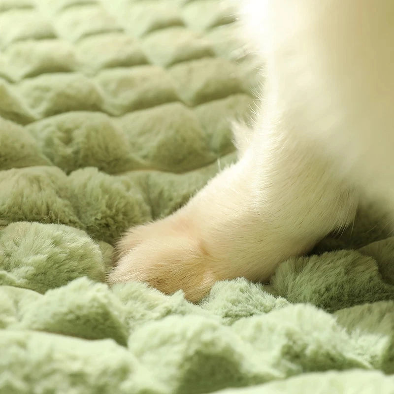 Warm Dog Mat Luxury Sofa for Small Medium Dogs