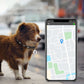 Smart Pet GPS Tracker