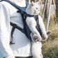 Breathable Backpack Pet Carrier Bag