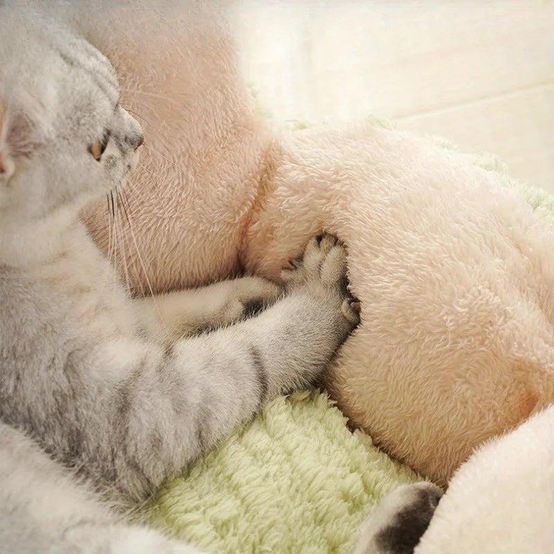 Plush Houses Warm Beds