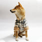 Winter Pet Jacket