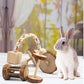 Cute Rabbit Roller Toys