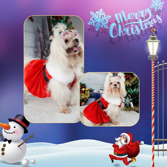 Cute Christmas Outfit Soft Small Pet Red Skirt Suit