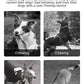 Electric Dog Training Collar