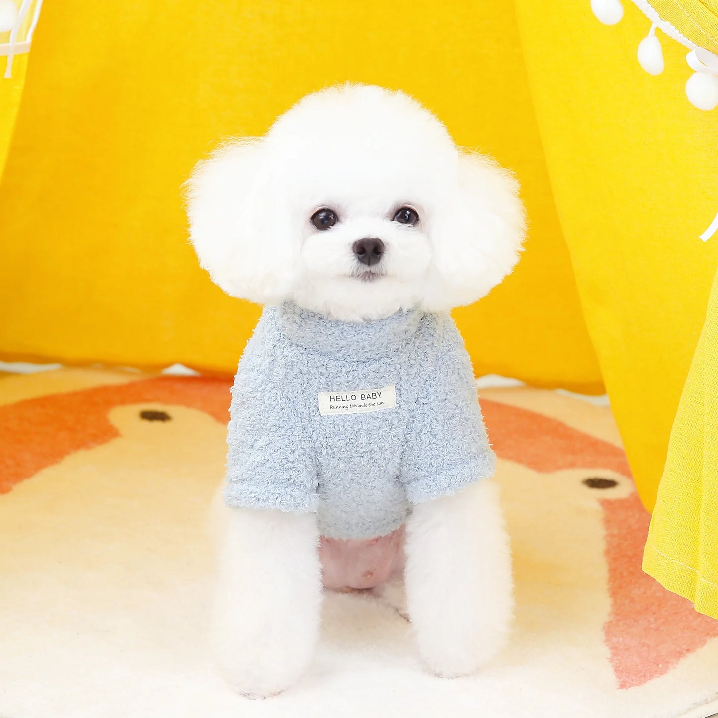 Winter Sweater for Small Medium Dogs Cats