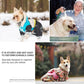 20pcs Pet Clothes Hanger