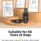 Electric Dog Training Collar