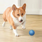 Pet Toy Moving Ball