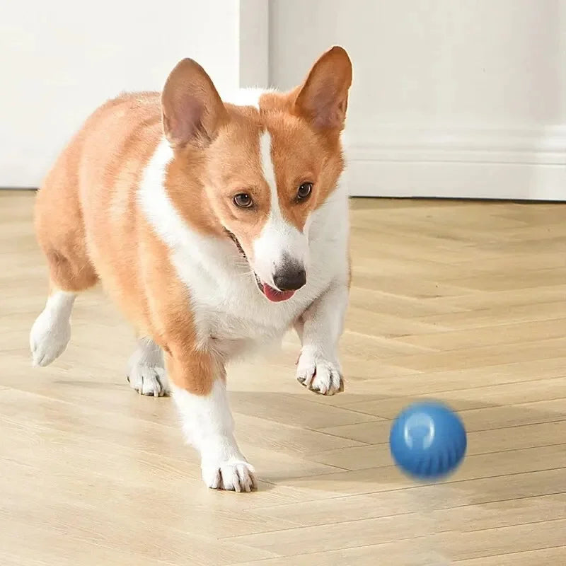 Pet Toy Moving Ball