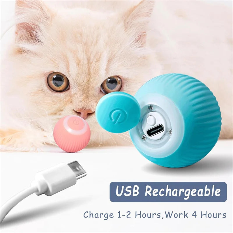 Pet Toy Moving Ball