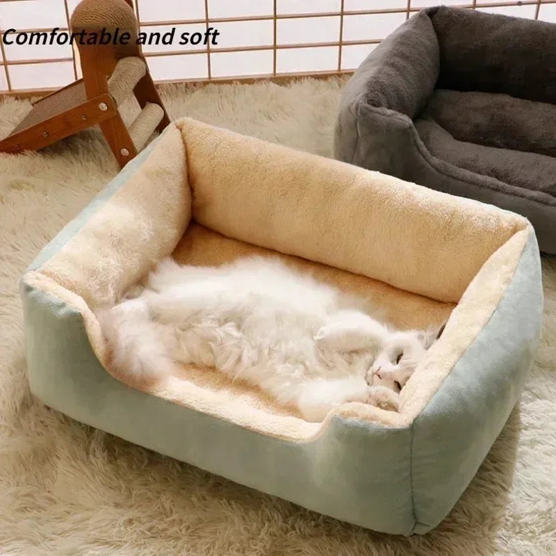 Kitten Cushions Basket House Beds