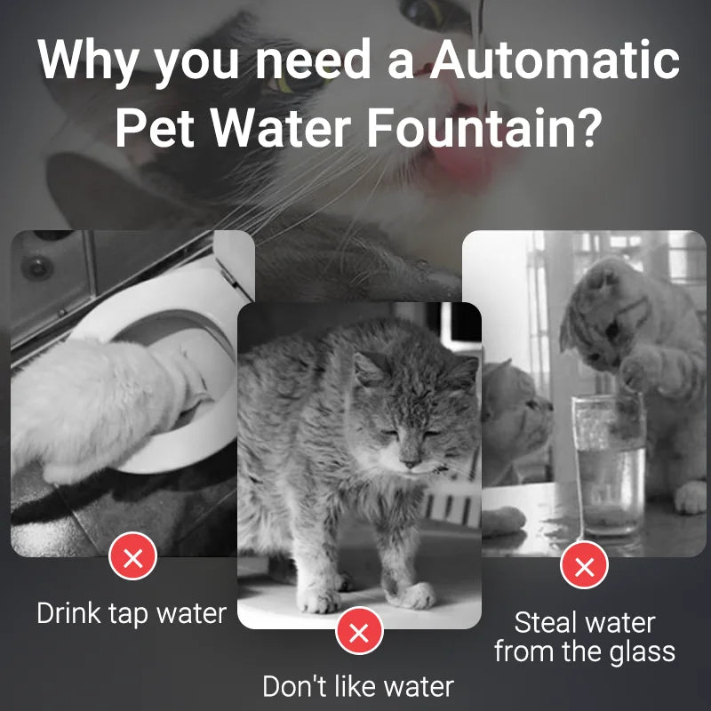 ROJECO Transparent Cat Water Fountain Pet Water Dispenser