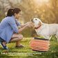 Chicken Jerkey, All Natural Ingredients, Natural Dog Treats, Healthy, Easily Digestible