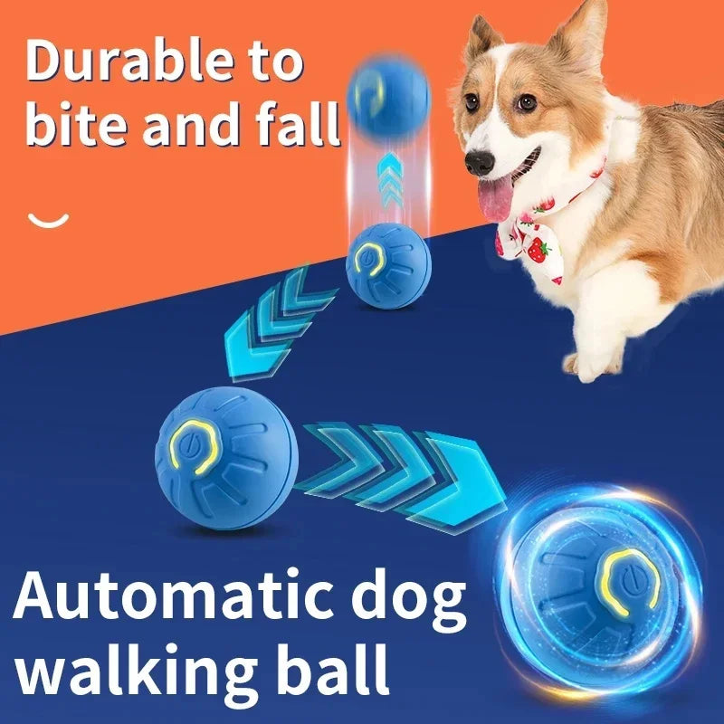 Pet Toy Moving Ball