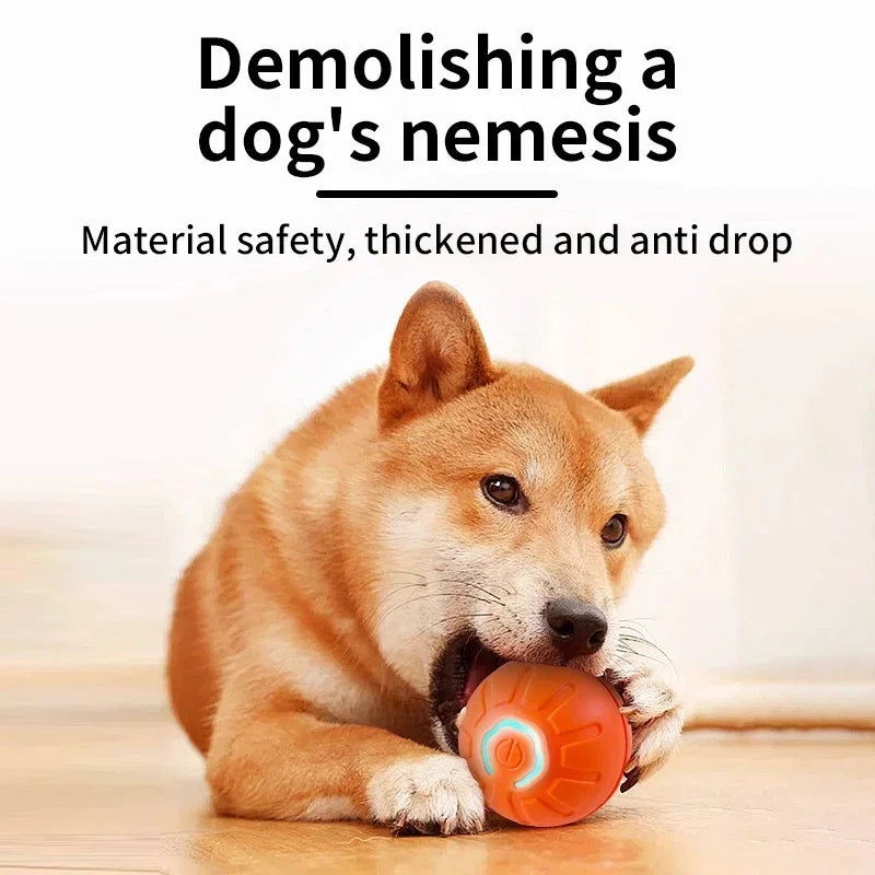 Pet Toy Moving Ball