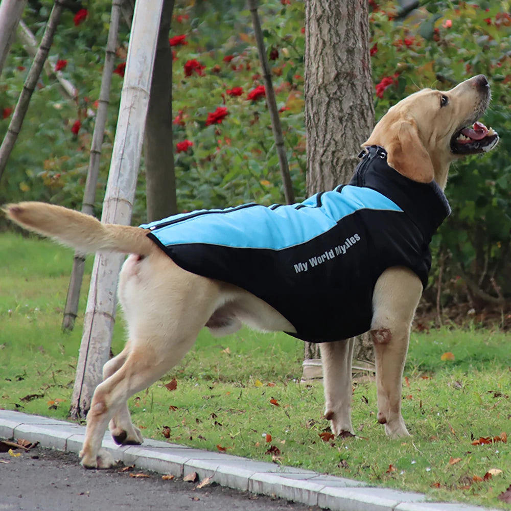 Large Dog  Waterproof Dogs Jacket