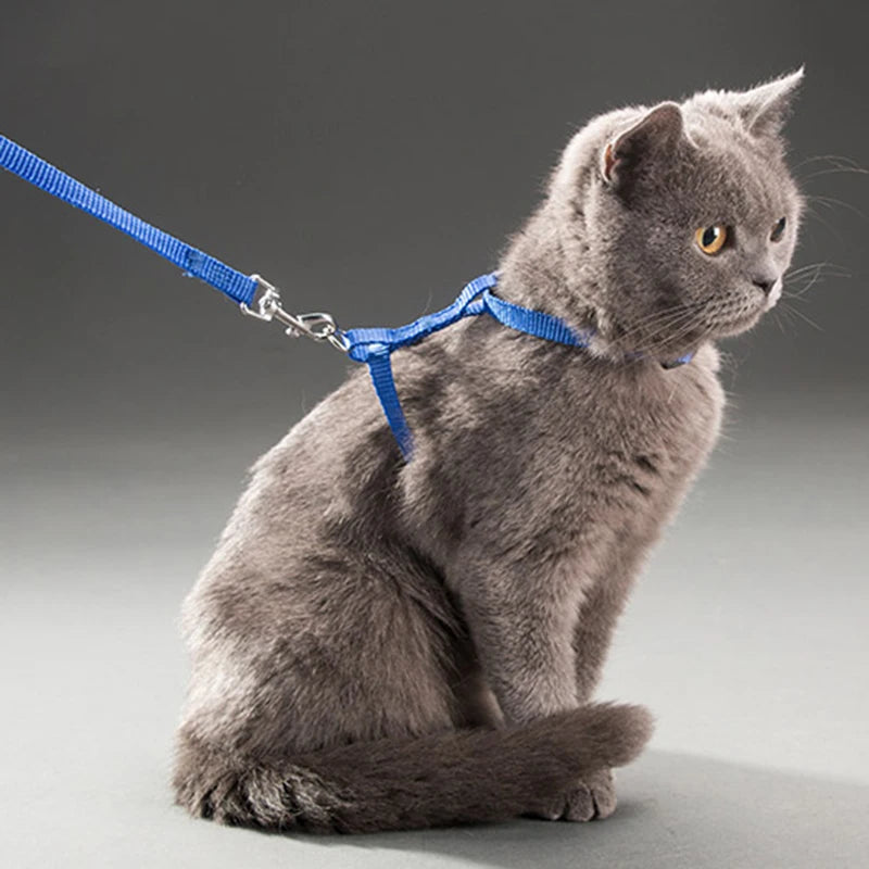 Adjustable Rabbit Cat Harness and Leash Set