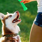 Aggressive Rubber Bone Toy