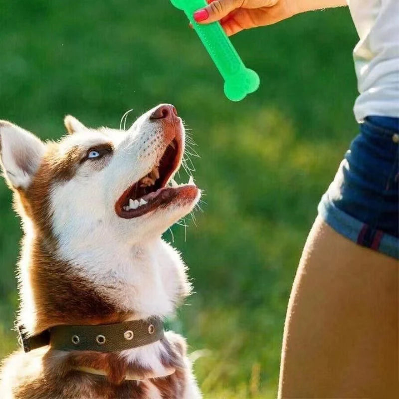 Aggressive Rubber Bone Toy