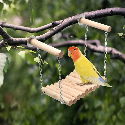 Bird Parrot Ladder Perch