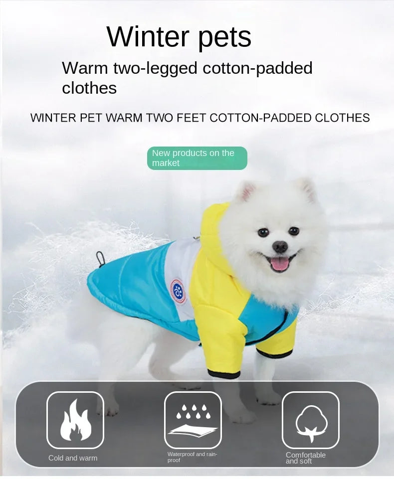Dog Winter Pet Cotton Jacket  For Small Medium Dogs Cats