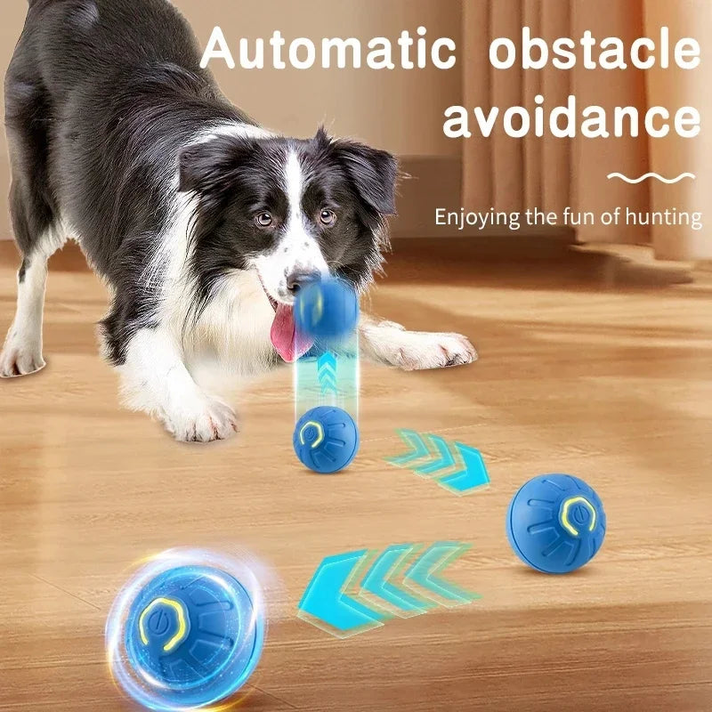 Pet Toy Moving Ball