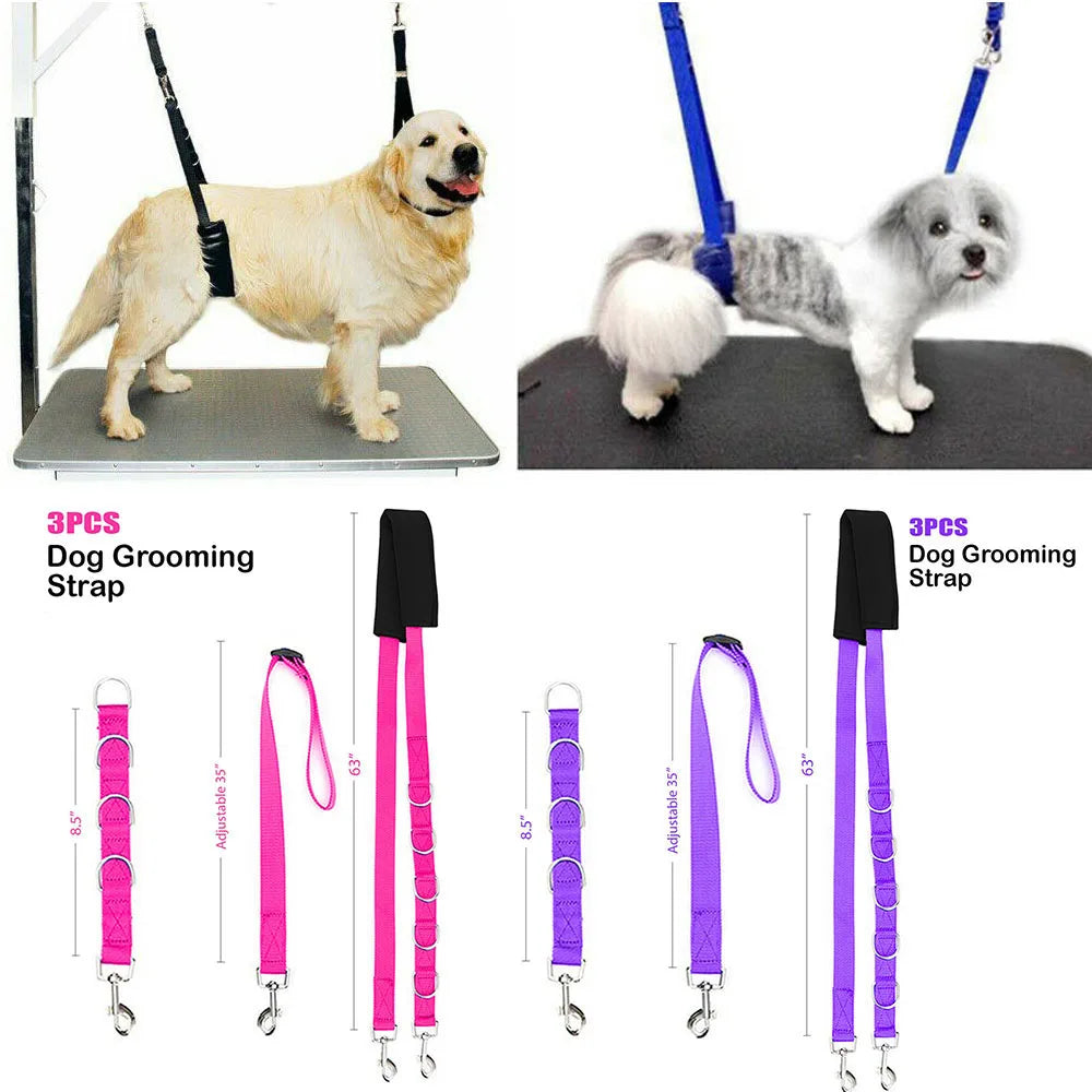Portable Pet Traction Belt Adjustable