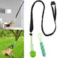 Interactive Treat Leaking Balls with Rope Ball Toy