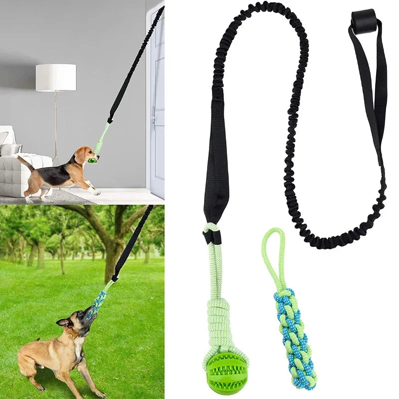 Interactive Treat Leaking Balls with Rope Ball Toy