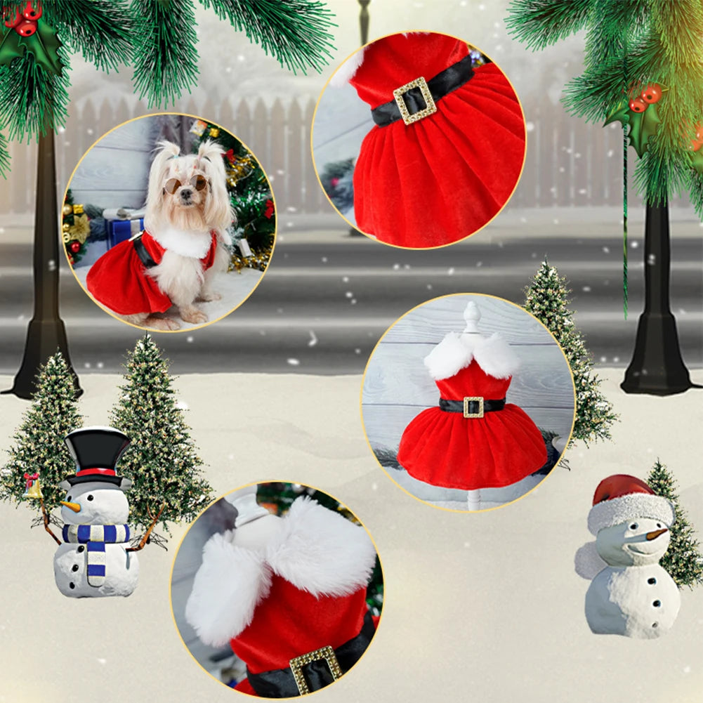 Cute Christmas Outfit Soft Small Pet Red Skirt Suit