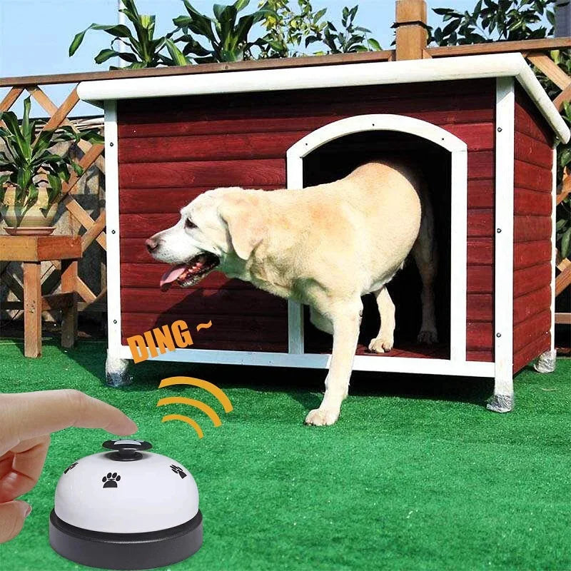 Interactive Footprint Ring Toy Trainer