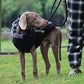 Large Dog  Waterproof Dogs Jacket