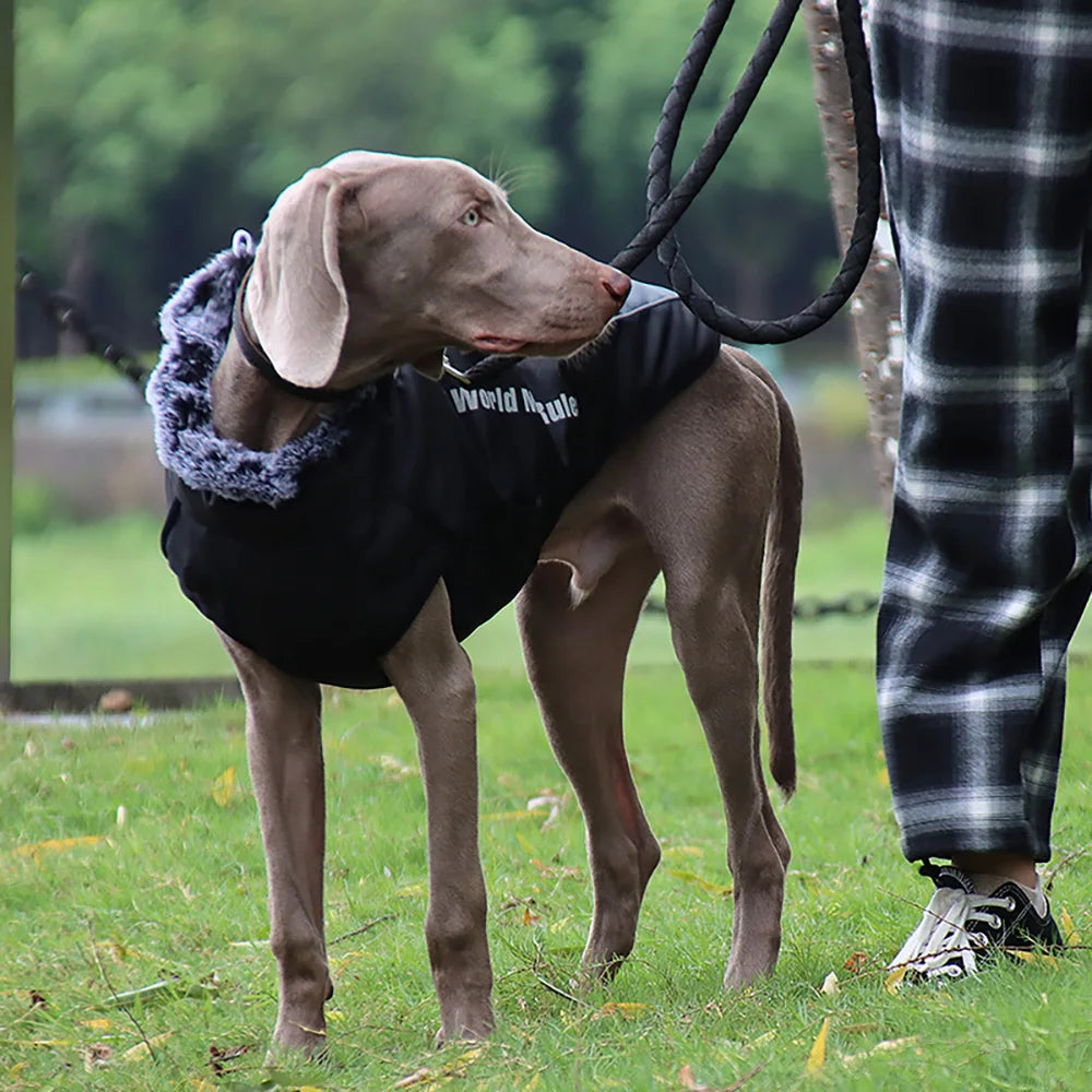 Large Dog  Waterproof Dogs Jacket