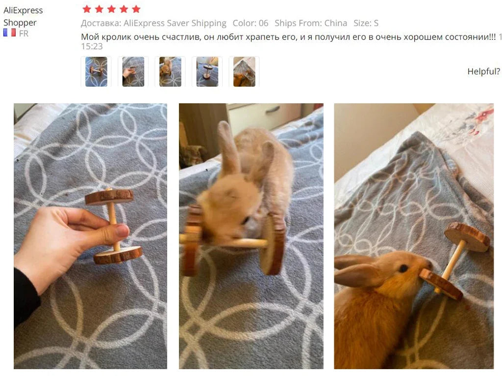 Cute Rabbit Roller Toys