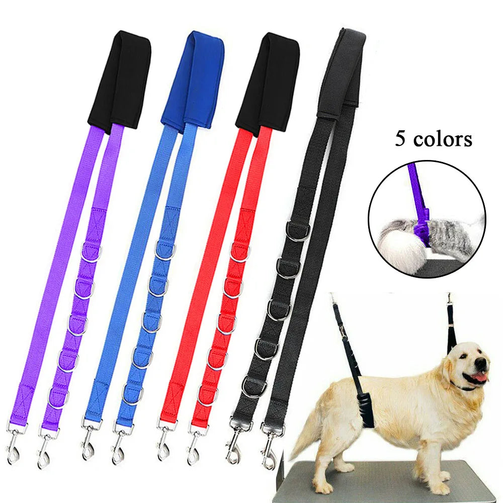 Portable Pet Traction Belt Adjustable