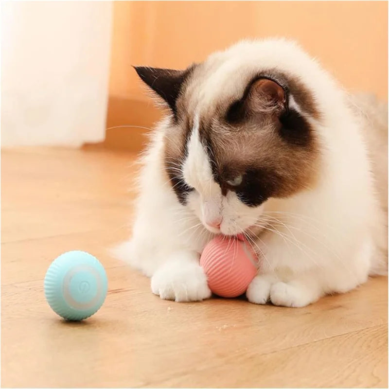 Pet Toy Moving Ball