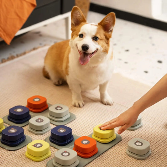 Dog Toy with Button Record Talking Pet Communication Vocal Training Interactive