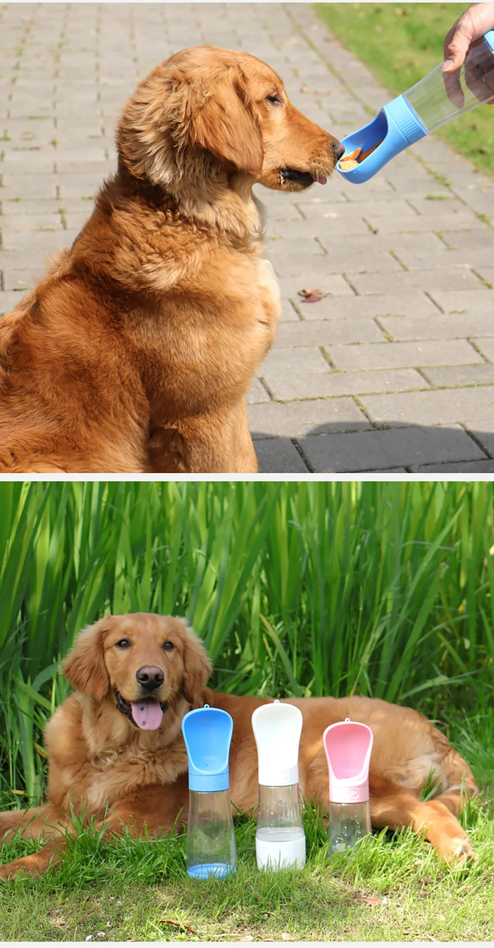 Portable Dog Water Bottle for Dogs
