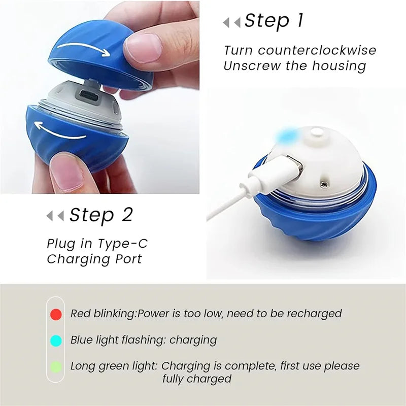 Pet Toy Moving Ball