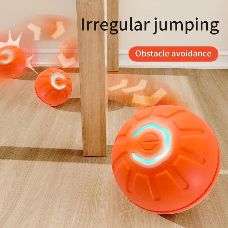 Pet Toy Moving Ball