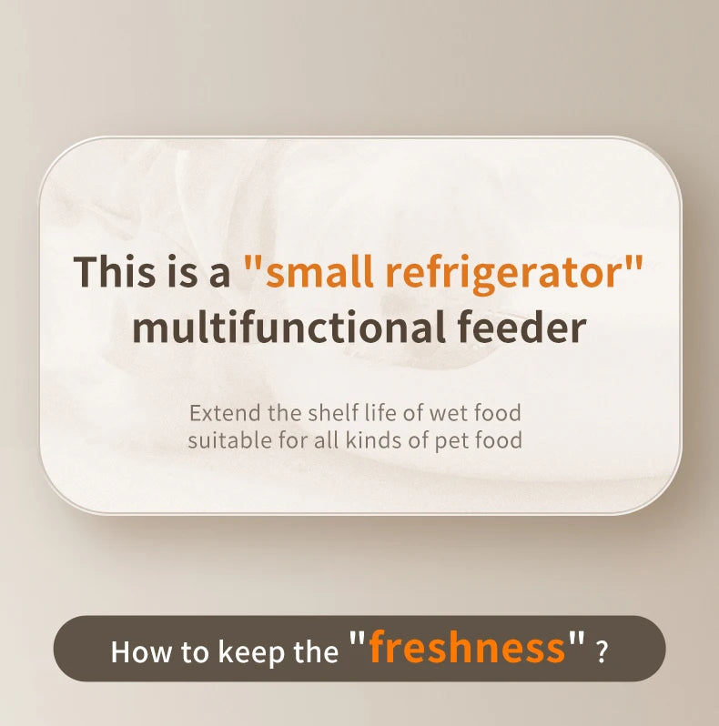 Automatic Pet Feeder