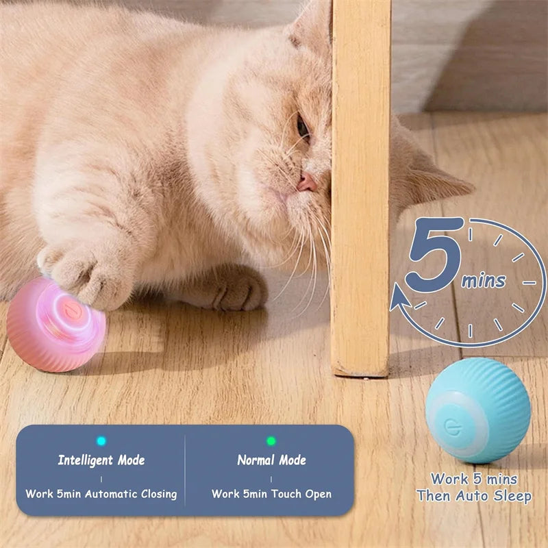 Pet Toy Moving Ball