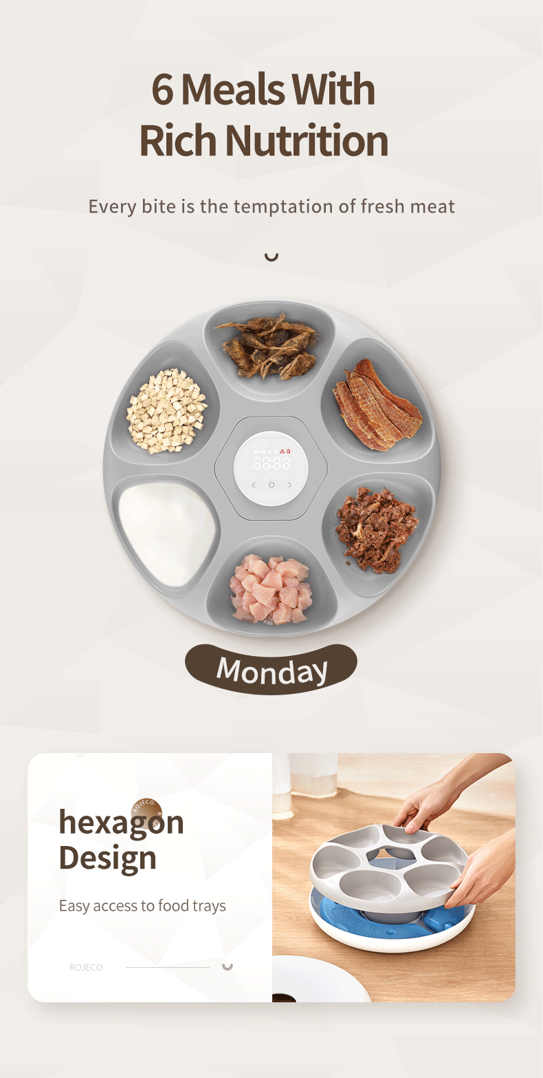 Automatic Pet Feeder
