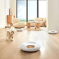 Automatic Pet Feeder