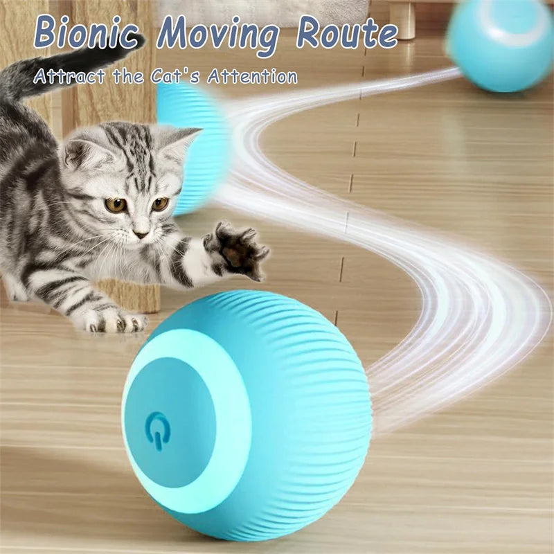 Pet Toy Moving Ball