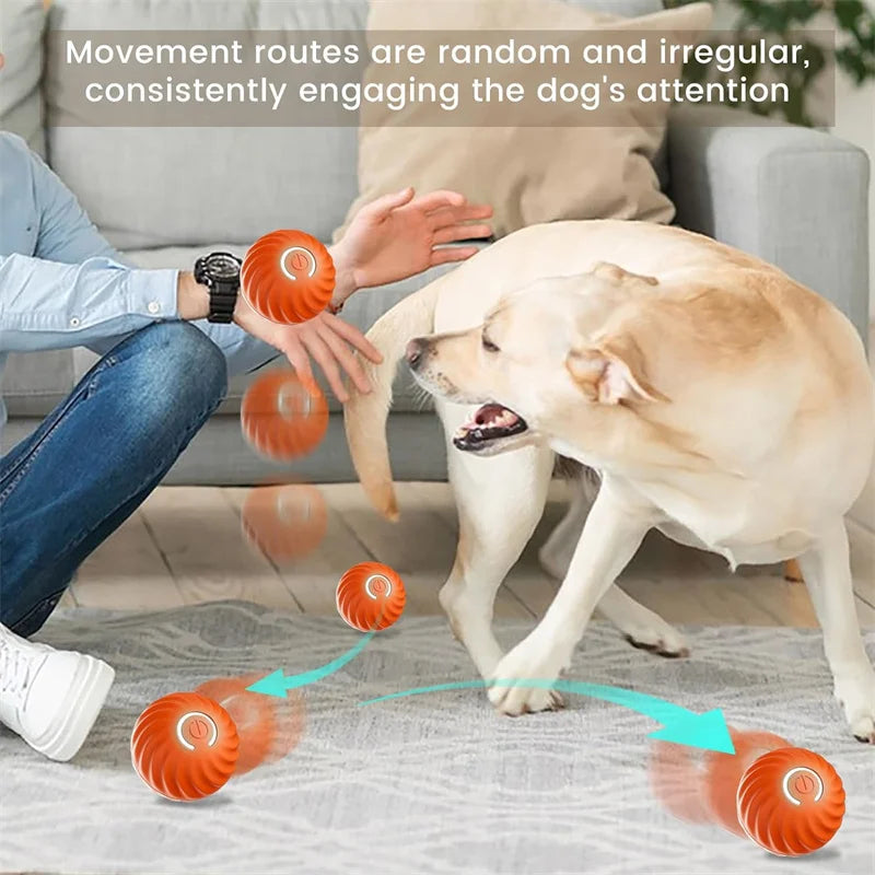 Pet Toy Moving Ball