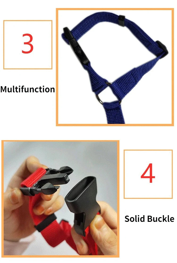 Pet Car Seat Belt
