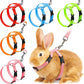 Adjustable Rabbit Cat Harness and Leash Set