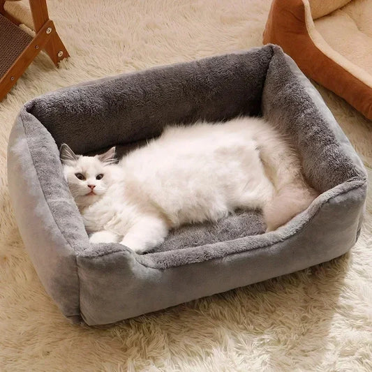 Kitten Cushions Basket House Beds